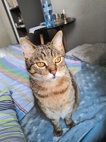 IMG_20250731_140510309_HDR