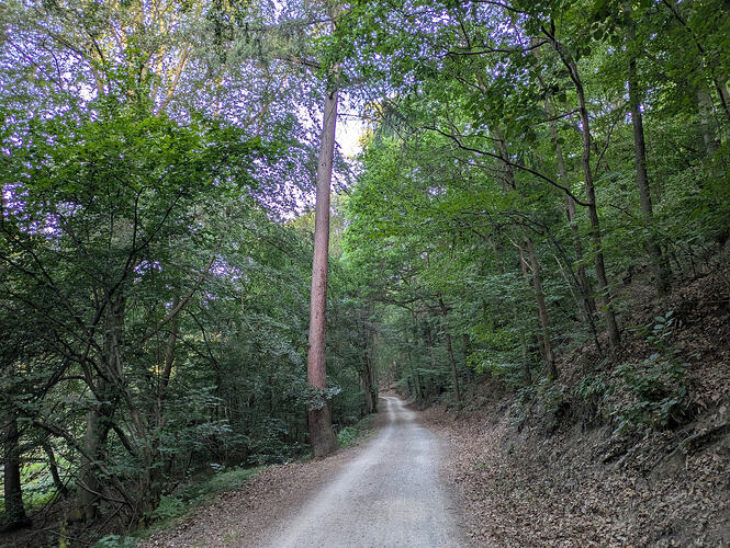 PXL_20260810_051149534