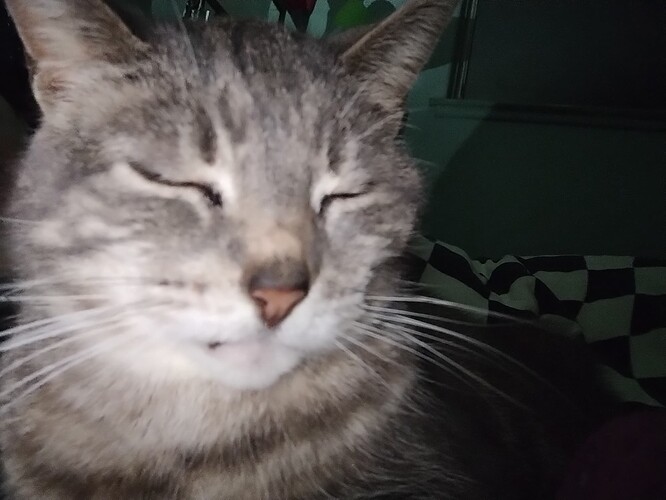 IMG_20250323_045733944