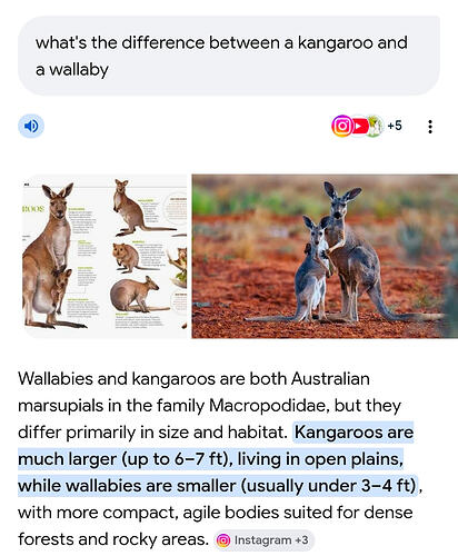 Screenshot_20260321_200425_Google