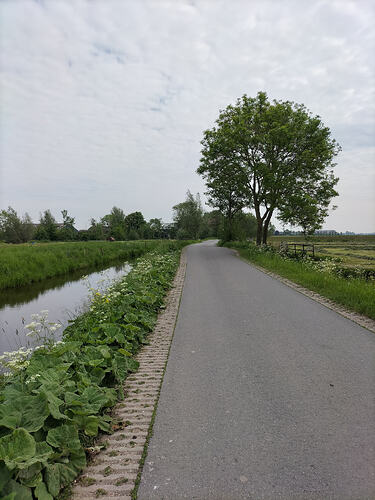 IMG20260508110501