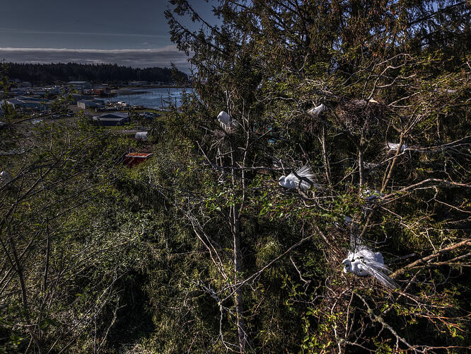 DJI_20260413173815_0468_D_69_D_70_D_71_D_72_D_73_D_74_D_Enhancer