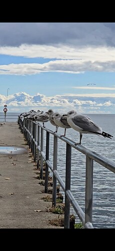 Screenshot_20251025_174440_Gallery