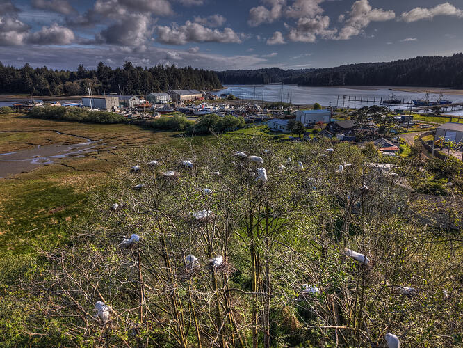 DJI_20260413173850_0482_DAnd6more_Enhancer