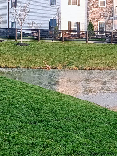 IMG_20260322_185408912_AE