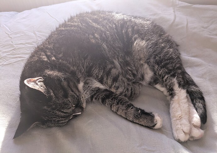 PXL_20250329_163234245~2