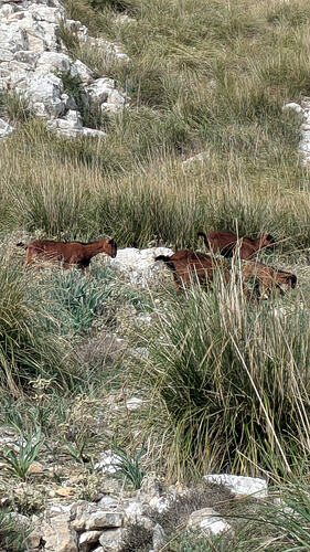 PXL_20260311_091433789