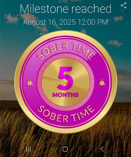 Screenshot_20250817_020821_Sober Time