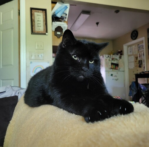 Screenshot_20250310_100235_Photos