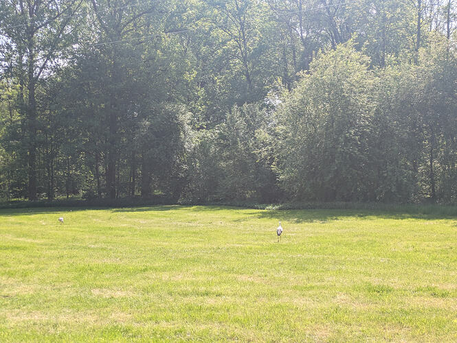 PXL_20260509_091803758