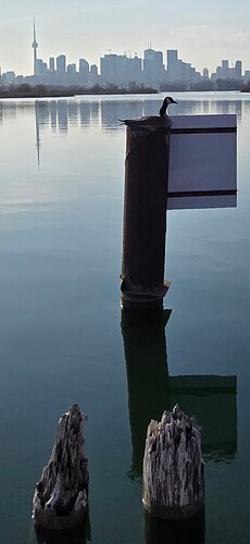 Screenshot_20250424_201119_Gallery