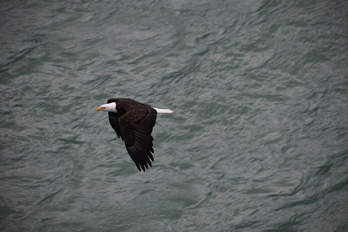 DSC_0181_Original
