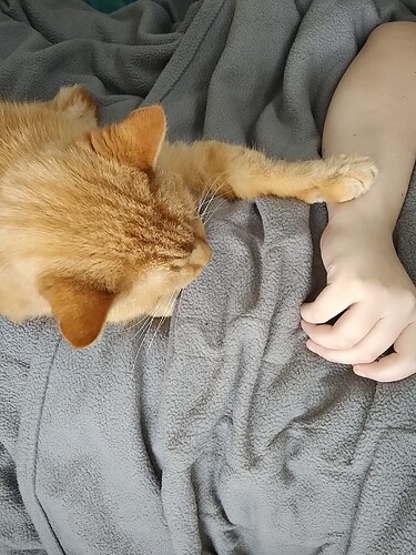 IMG_20250209_165930458~2