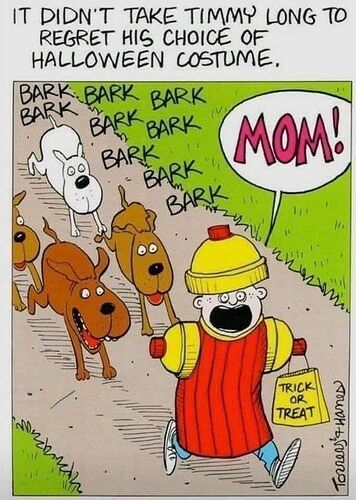 385033749_704007021750663_6364194042184988662_n