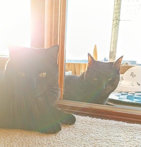 IMG_20250326_171106_624~2