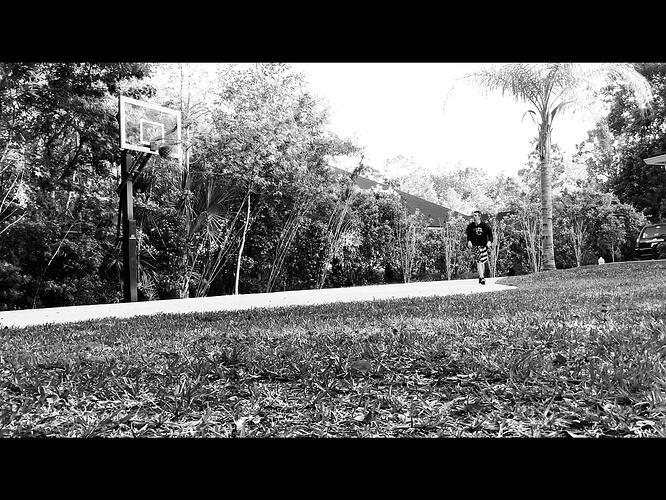 IMG_0601