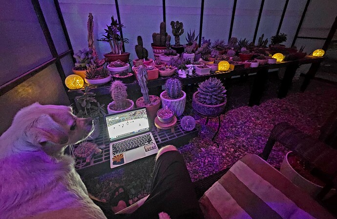 20251018_181347