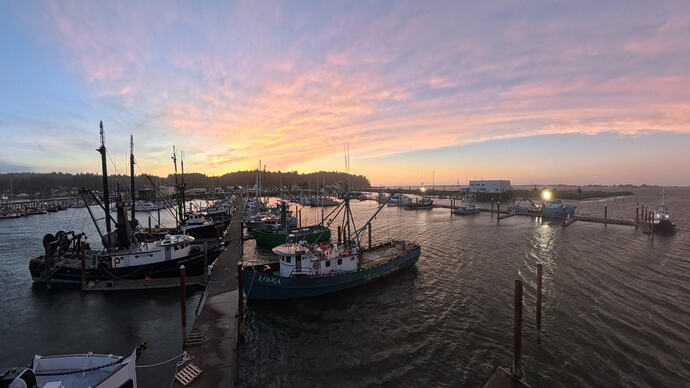 VID_20260227_120740_00_015_024_2026-03-01_10-36-41_screenshot