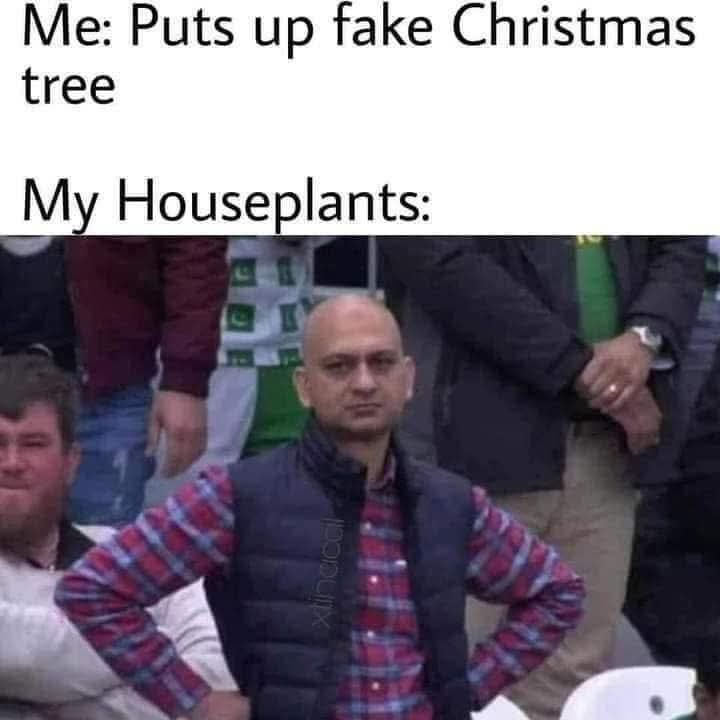 FB_IMG_1766196926319