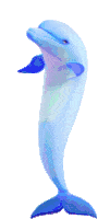 dancing-dolphin