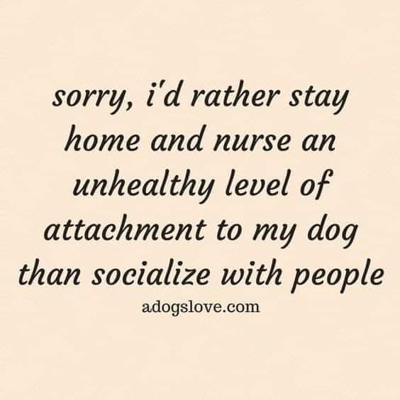 FB_IMG_1691274052374