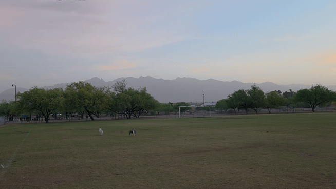 20260328_061129(1)