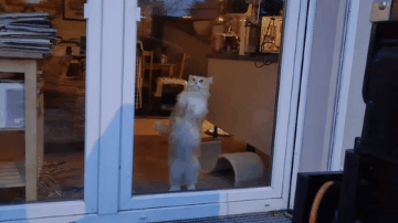 76848b6d-e6f6-423d-ae67-13257006d4e6