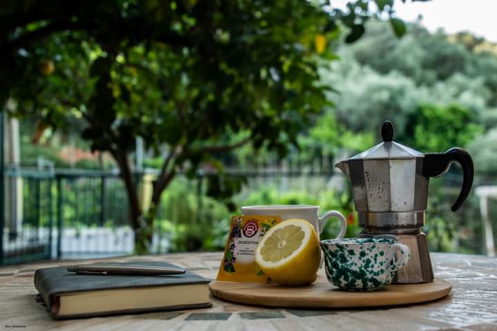 FB_IMG_1663161136864