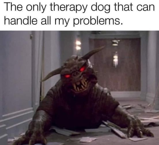 453861943_1043935410424444_1261284044503630588_n