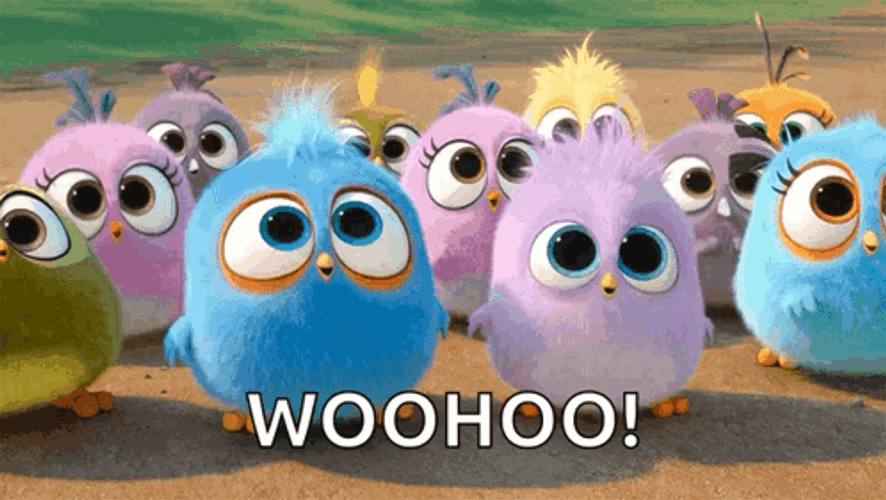 woohoo-meme-angry-birds-cute-b87pgoqytnwbop9h