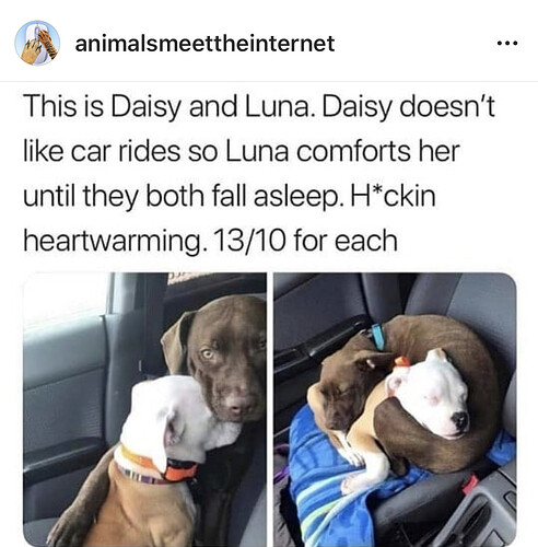 189BCAF5-FFCB-4AFF-B1DD-DE85644F5E40