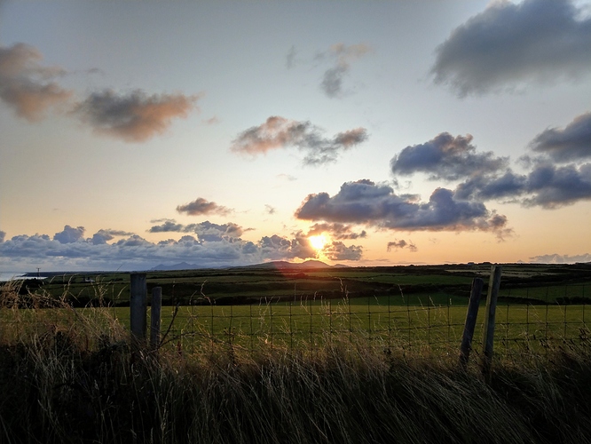 IMAG0559
