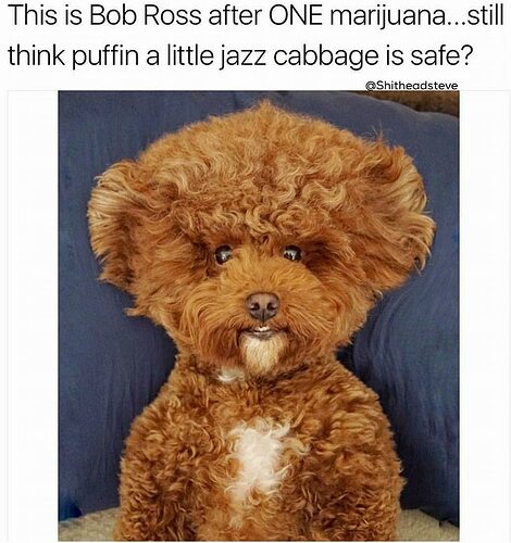 received_868029460022983