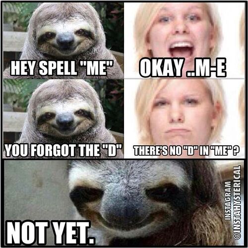 21-Superior-dirty-meme