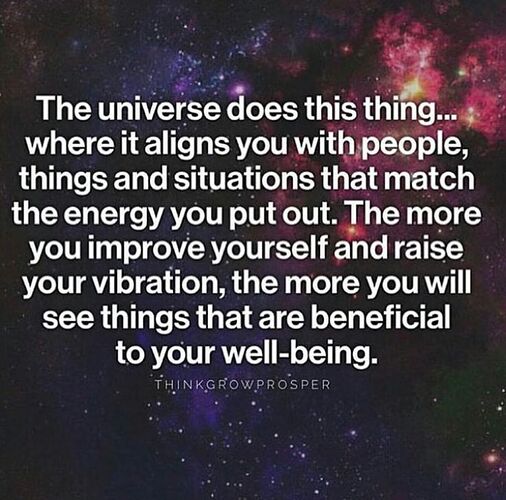 success-quotes-the-universe-aligns-you-with-people-and-situations-that-match-your-energy