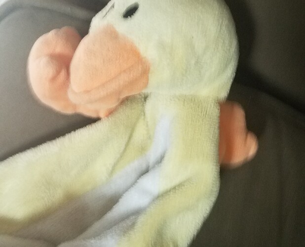 20180630_092806