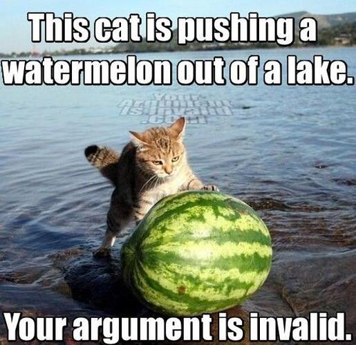 invalid