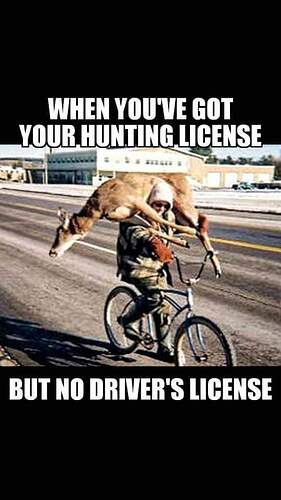 FB_IMG_1541427053661