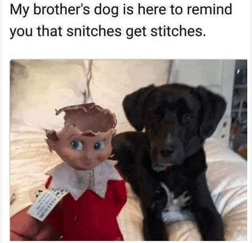 Screenshot_2018-12-08-08-13-18~2