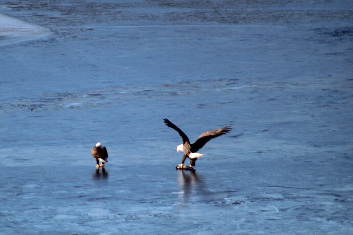 IMG_1171%20(2)