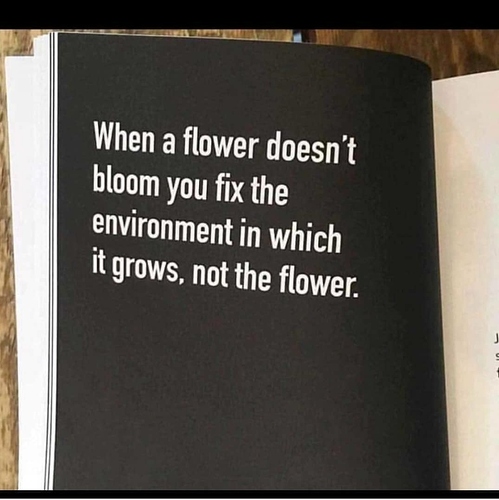 Screenshot_20201028-194408_Instagram