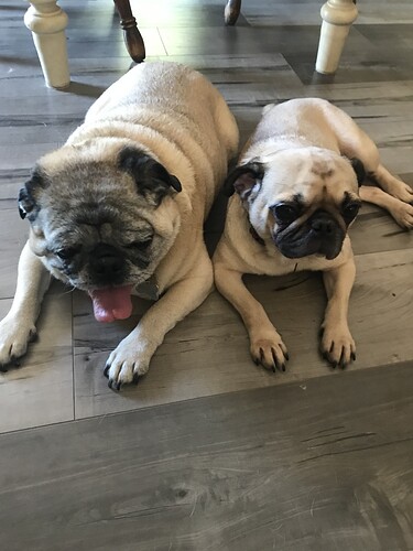 0CFBE338-DFFA-4A78-8FFB-9836827C08D7