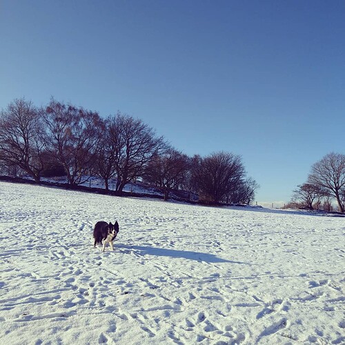 IMG_20190202_111206_443
