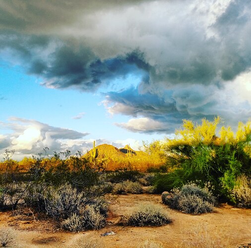 IMG_20180331_132011_249