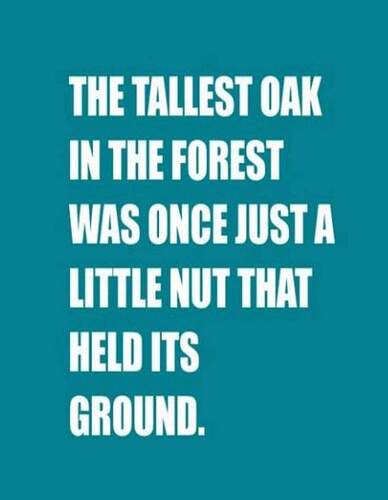 45081572_10160880871880548_5517196060797173760_o