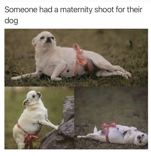 8A6466FC-4286-4DAC-B4A4-BE1BD9C6A42C