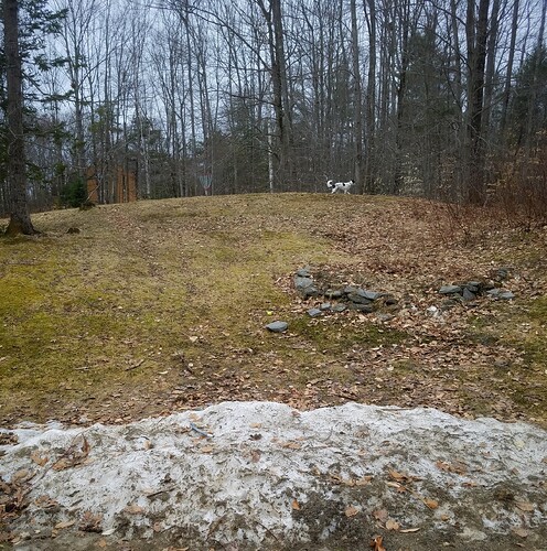 20180419_163601-01