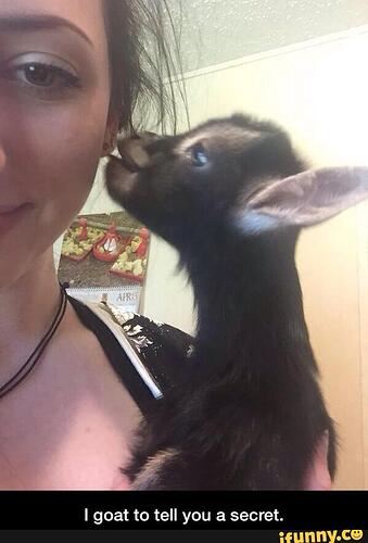 ae5d7ad8234157542ffe1bd597fe648d6e5554d5d5873da6248dfedf656cab61_1