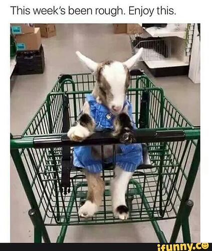 e9d0967986ea26fda57e59d4c739ce0074123666e7ba918303783df8071c8040_1