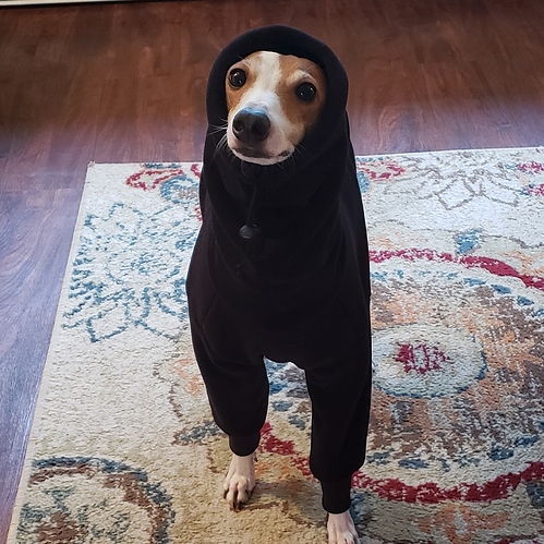 IMG_20190228_061514_904